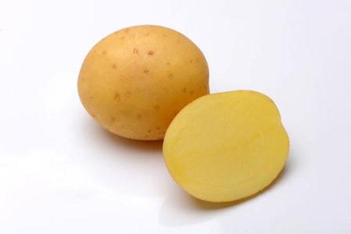Картофель Мадейра: характеристика и описание сорта