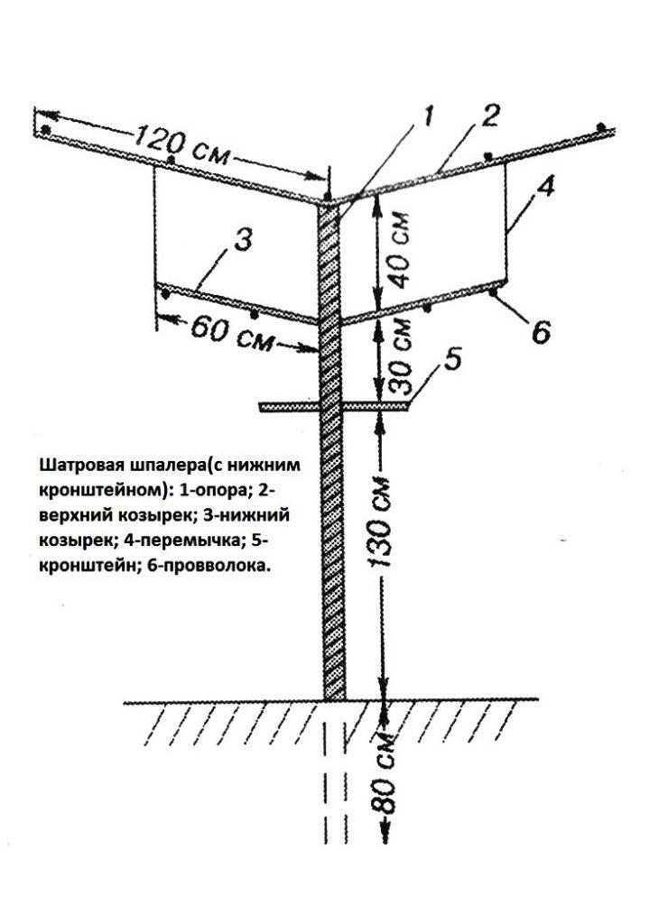 Шпалера схема чертеж