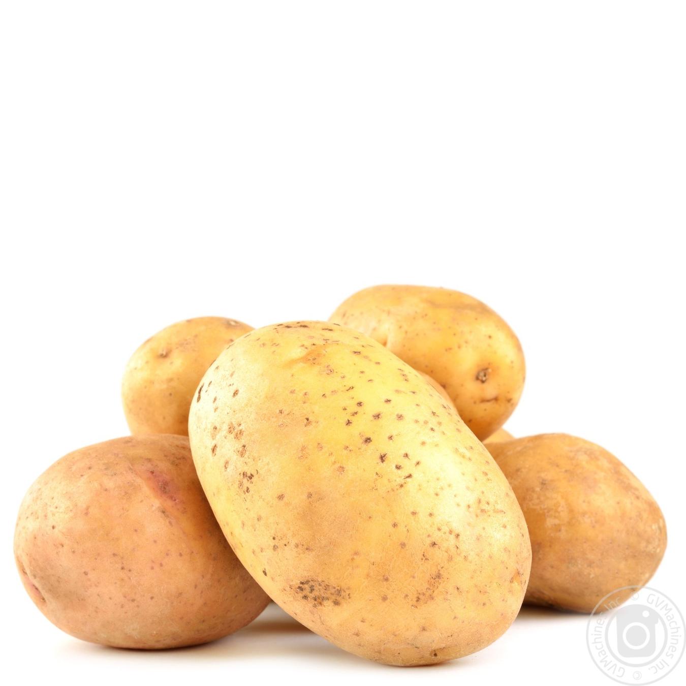 Сорт картофеля Эльмундо