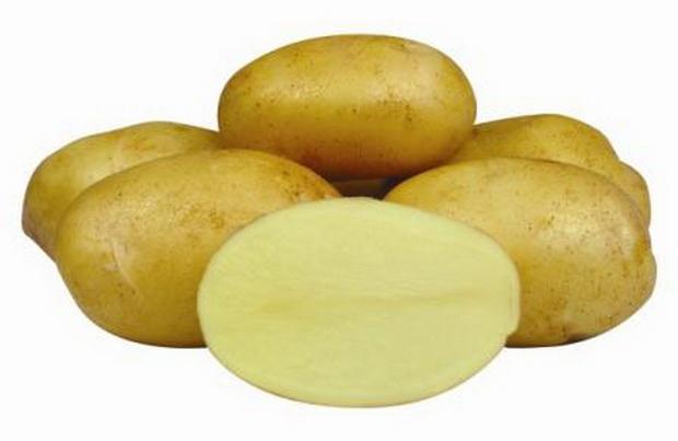 Желтый внутри и снаружи картофель Джелли привлекателен не только внешне, но и прочими характеристиками