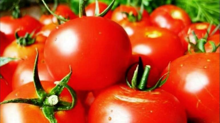 Штамбовый сорт помидор: что это такое, характеристики, описание сорта длятеплиц