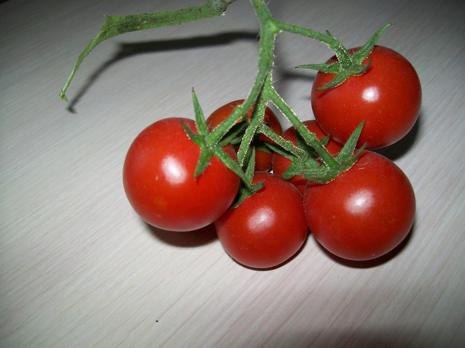 Выращивать помидоры в домашних условиях