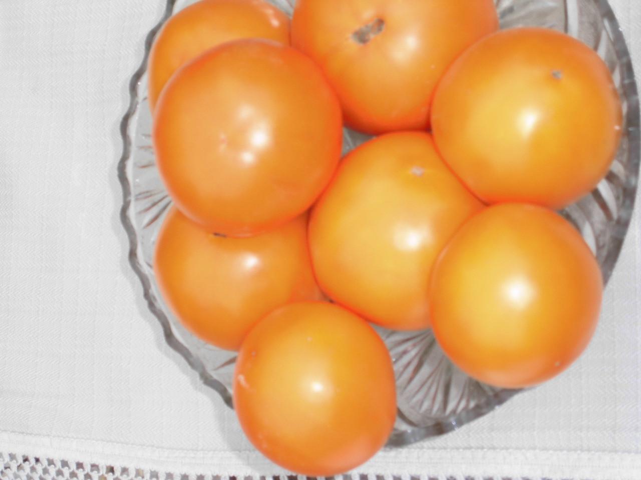 Томат Апельсин: характеристика и описание сорта, урожайность с фото