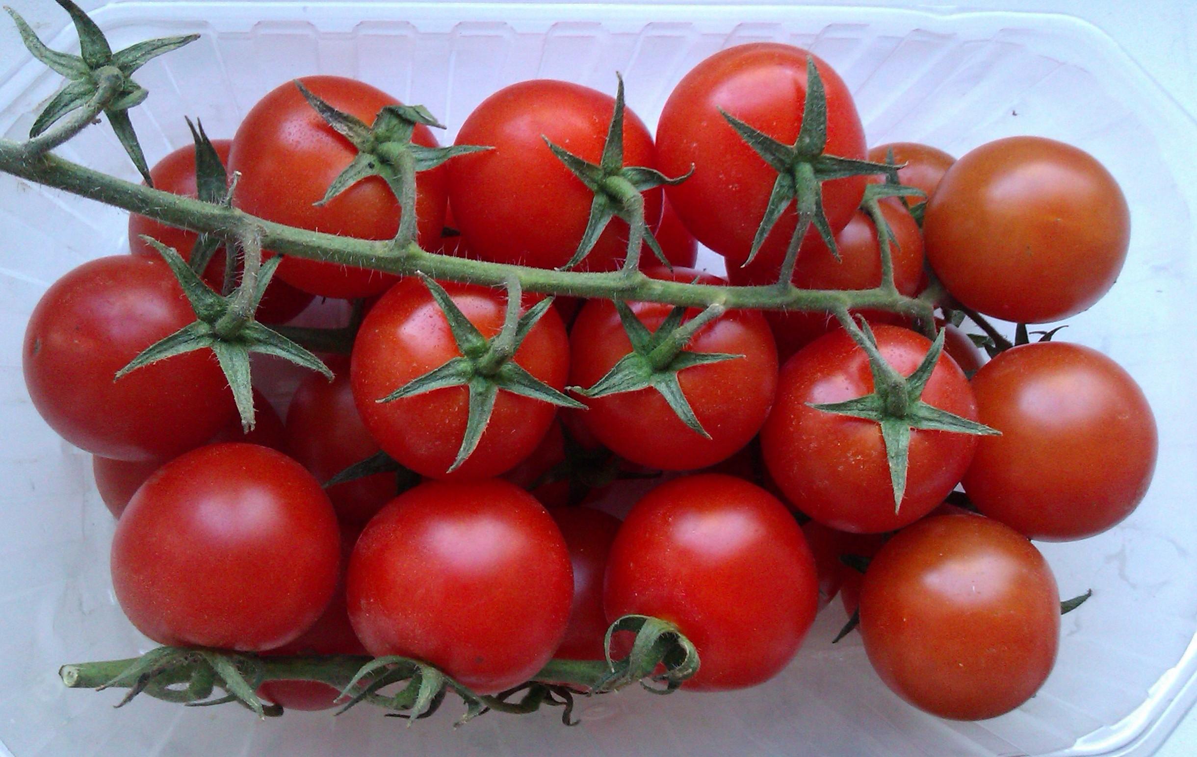 томат сорт ажур фото