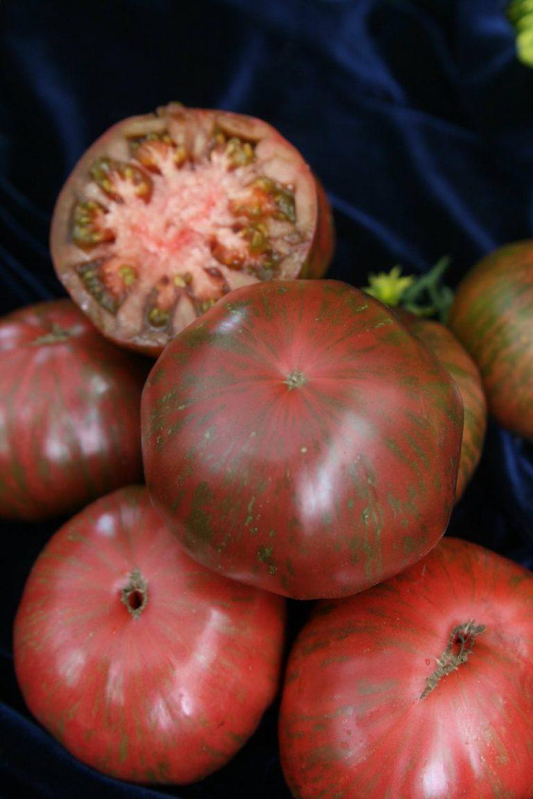 Шоколадный полосатый томат описание сорта фото
