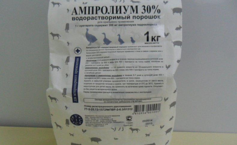 Amprolium: návod k použití pro brojlery a kuřata. Jak a kolik dní zalévat ptáka