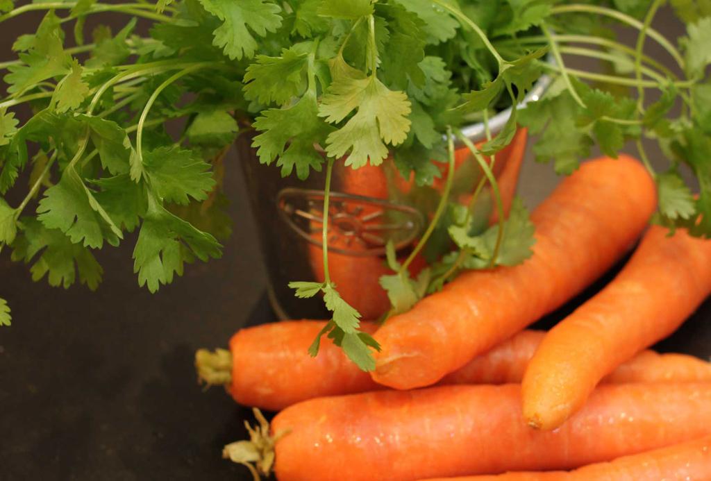 С чем сажать рядом морковь, какие культуры посадить с морковью на грядке