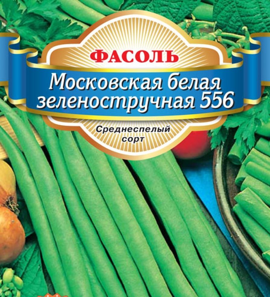 О фасоли Московской белой зеленостручной 556: посадка, уход, выращивание