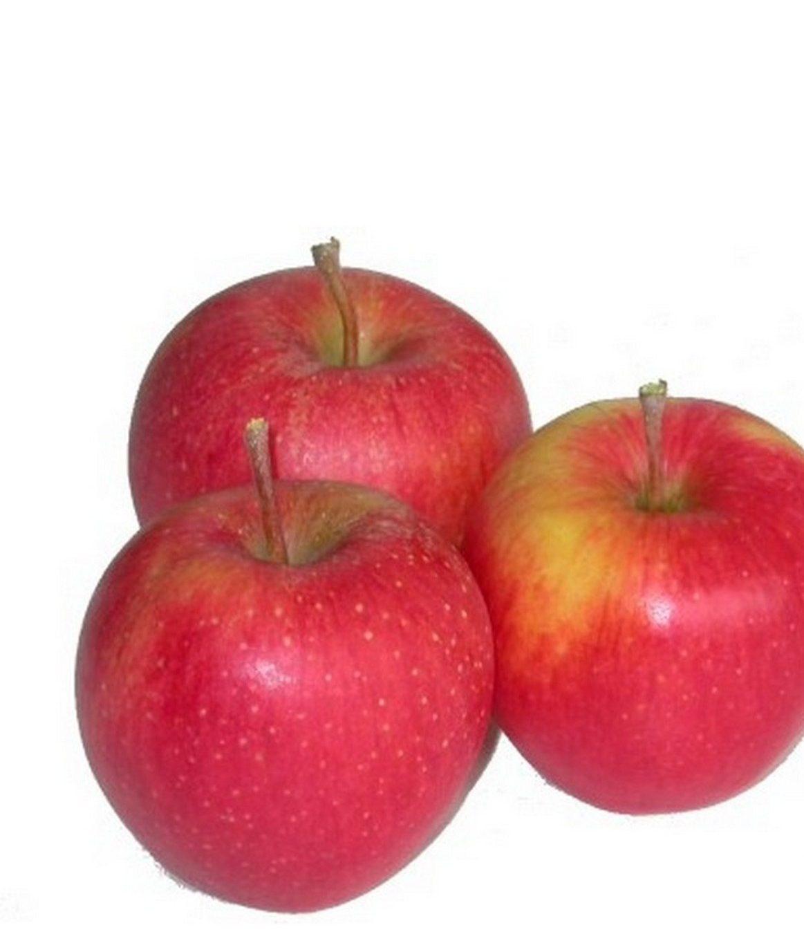 Яблоки Голден: описание сорта и разновидности, посадка и уход, отзывы с фото