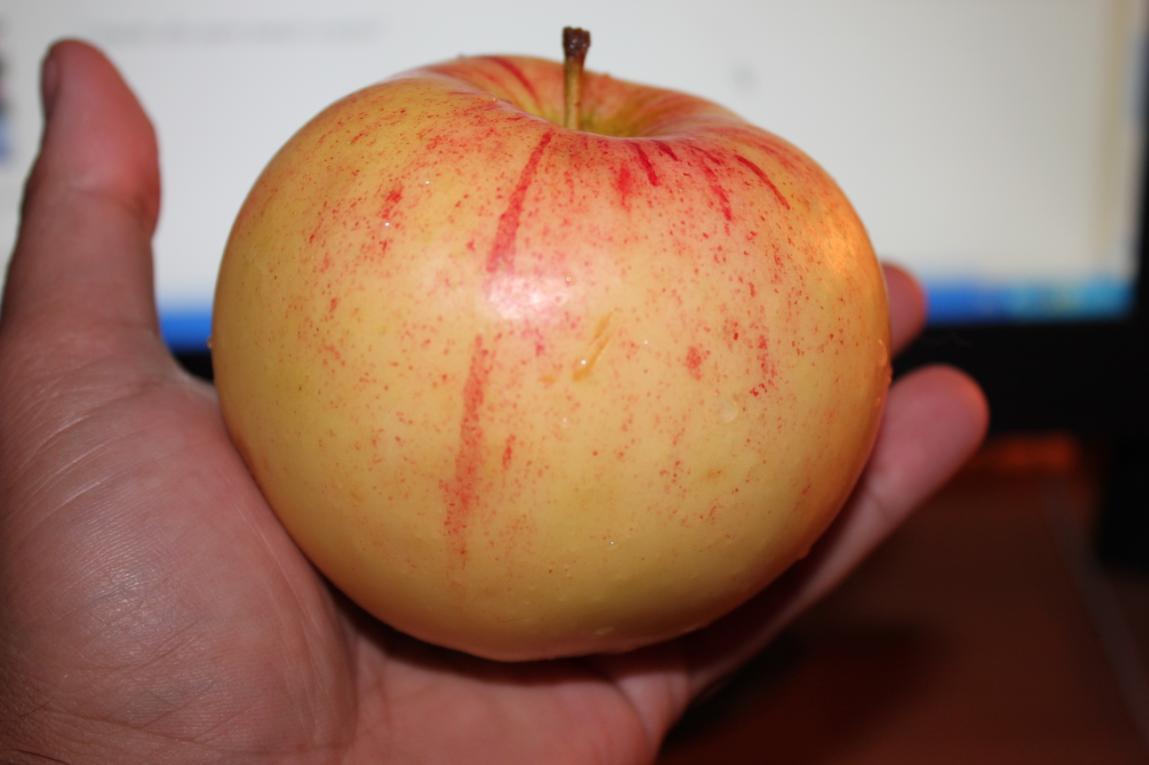 Сорта яблок с желтой мякотью фото и описание