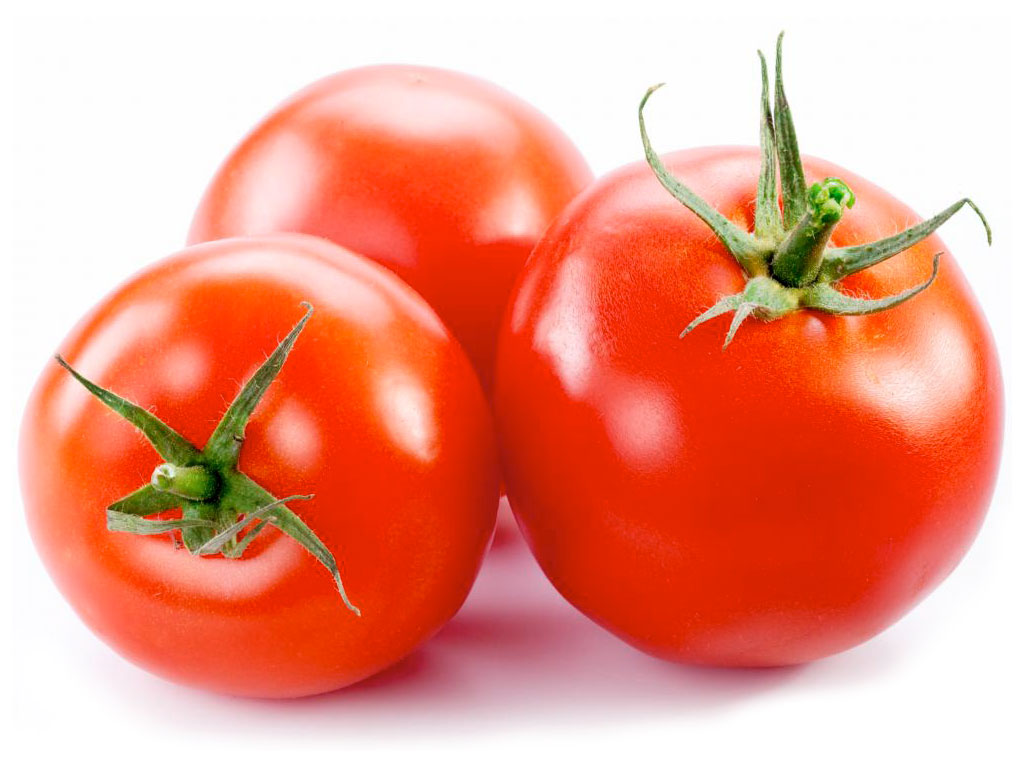 Tomate fructosa