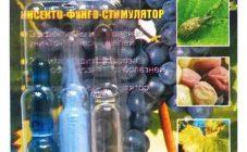Препараты Здравень Турбо и Аква для винограда: инструкция по применению