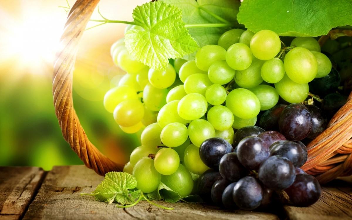 Правила формирования куста винограда