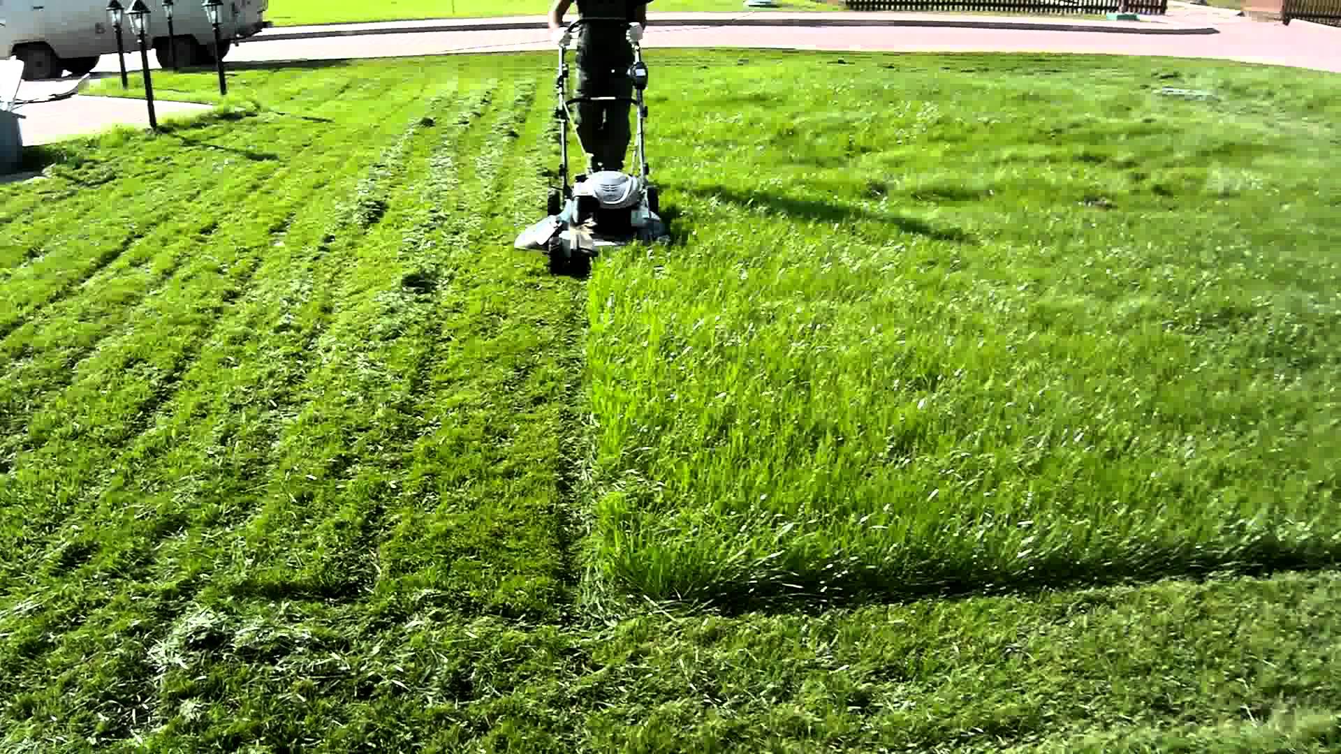 Как подстричь газон полосками