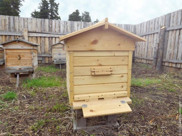 Улей с пчелами: 12 крутых поделок для детей своими руками