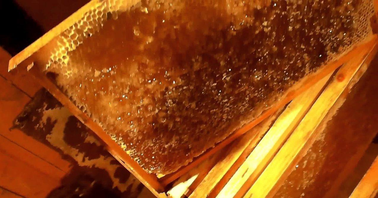 Подкормка пчел весной сахарным. Сироп для пчел. Зимняя подкормка пчел. Подкормка пчел рамками с медом. Сахарный сироп для пчел.