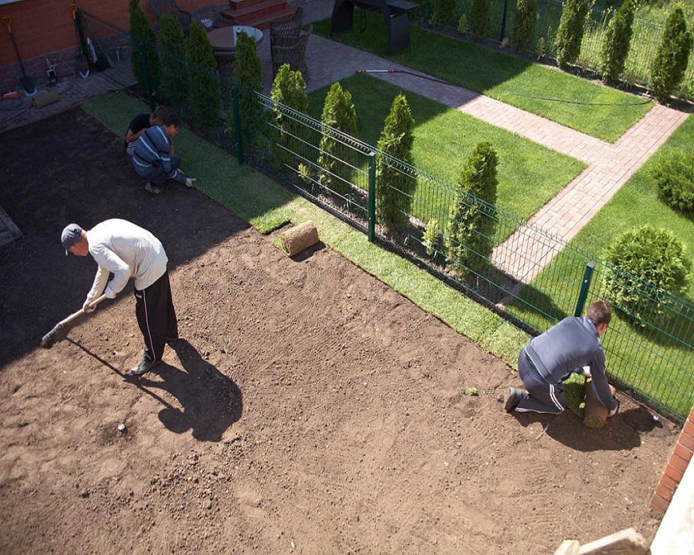 Подготовка земли под газон 🎍 на приусадебном участке своими руками — как правильно выровнять участок на даче