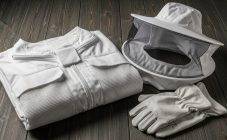 Энциклопедия пчеловодства: глоссарий терминов А-Д с пояснениями.