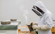 Дезинфекция ульев и инвентаря: препараты и технология обработки