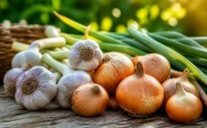 Как увеличить урожай лука и чеснока: советы и инструкции