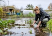 Что делать с затопленными огородами: инструкция