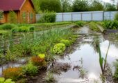 Как осушить огород после дождей: инструкция